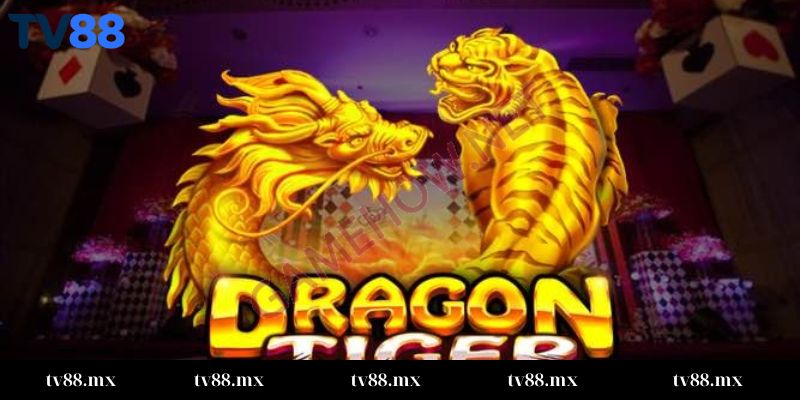 Tổng quan bí quyết chơi rồng hổ online